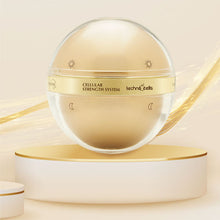 Cargar imagen en el visor de la galería, Terramar Cellular Sthenght System Con Células Madre (Crema Día y Crema de Noche)