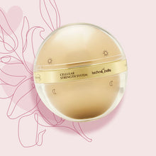 Cargar imagen en el visor de la galería, Terramar Cellular Sthenght System Con Células Madre (Crema Día y Crema de Noche)