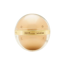 Cargar imagen en el visor de la galería, Terramar Cellular Sthenght System Con Células Madre (Crema Día y Crema de Noche)