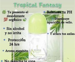 Terramar Cedar Delish Desodorante para Hombre