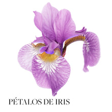 Cargar imagen en el visor de la galería, L&#39;bel Chic (perfume)

